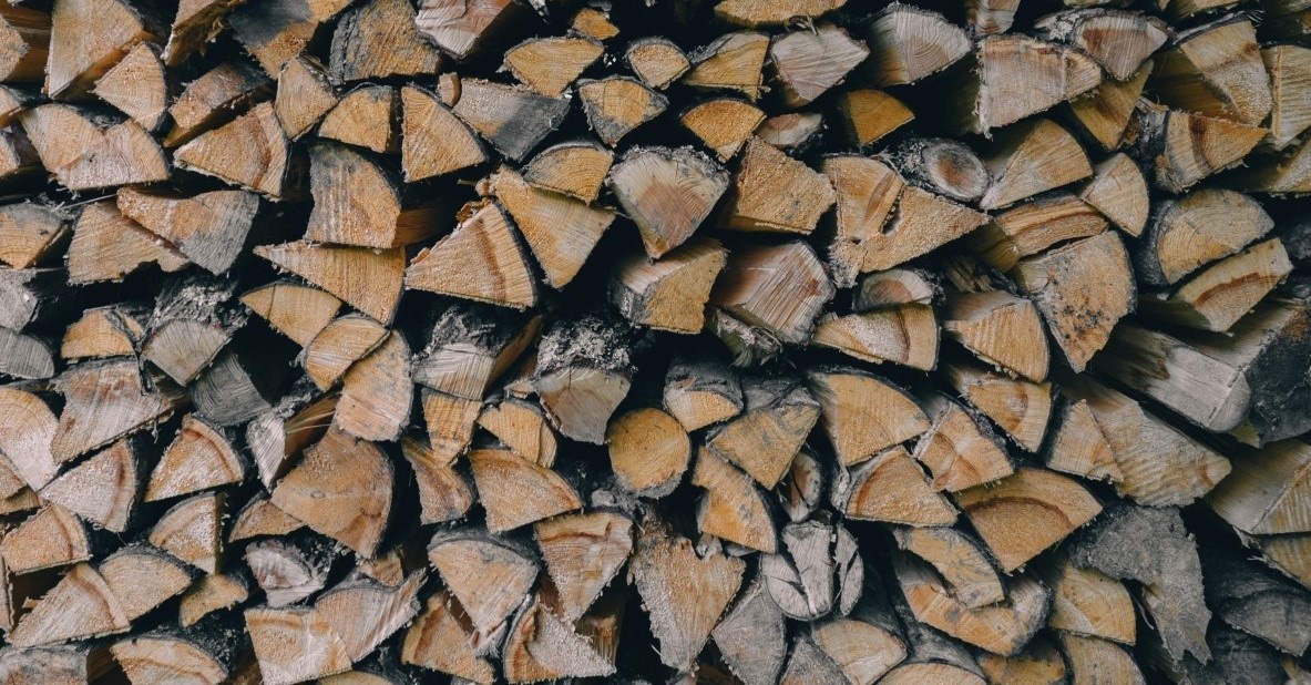 Your Backyard Incinerator: What are Popular Types of Burning Wood?